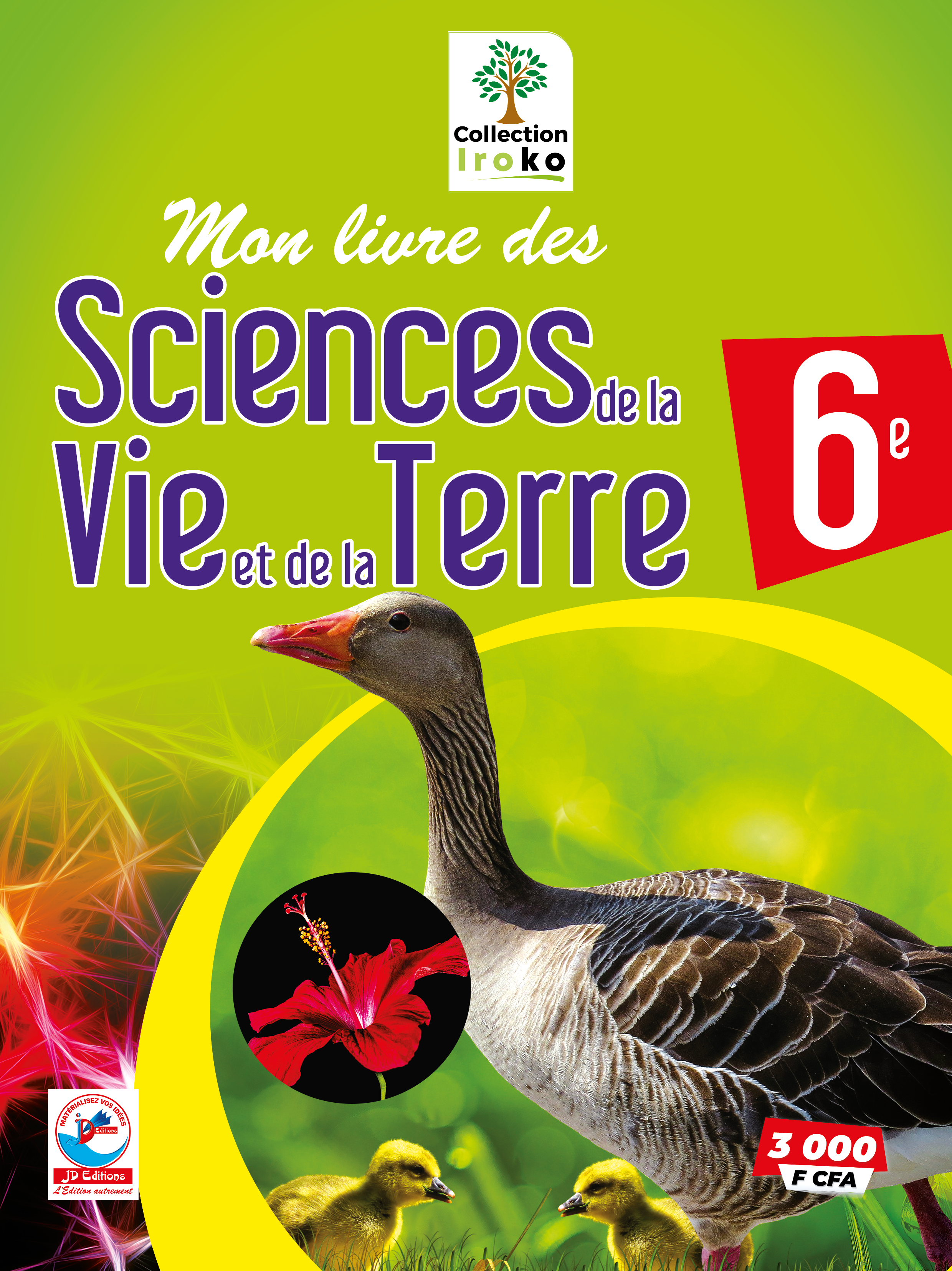 Arts Plastiques